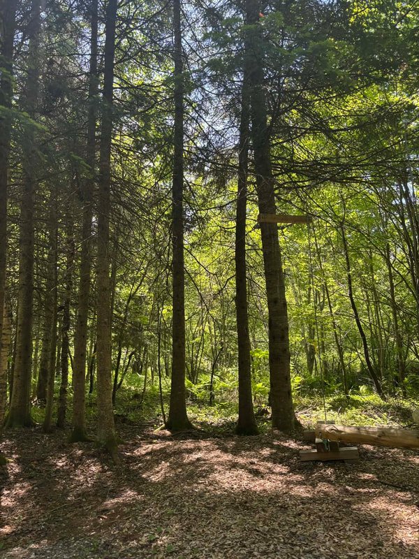 Parc des Chutes - Parcours d'hébertisme