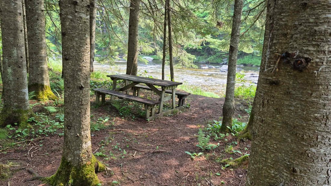 Parc des Chutes - Parcours d'hébertisme