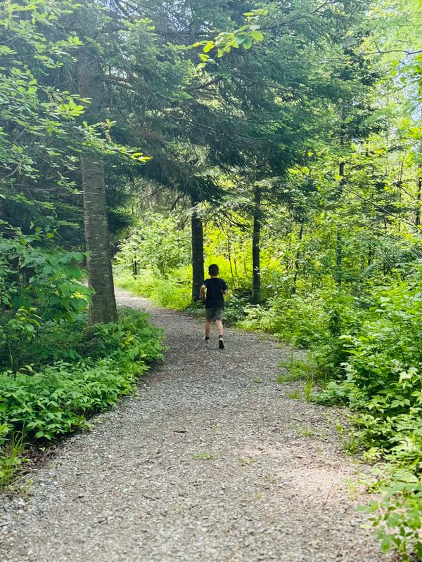 Parc des Chutes - Parcours d'hébertisme