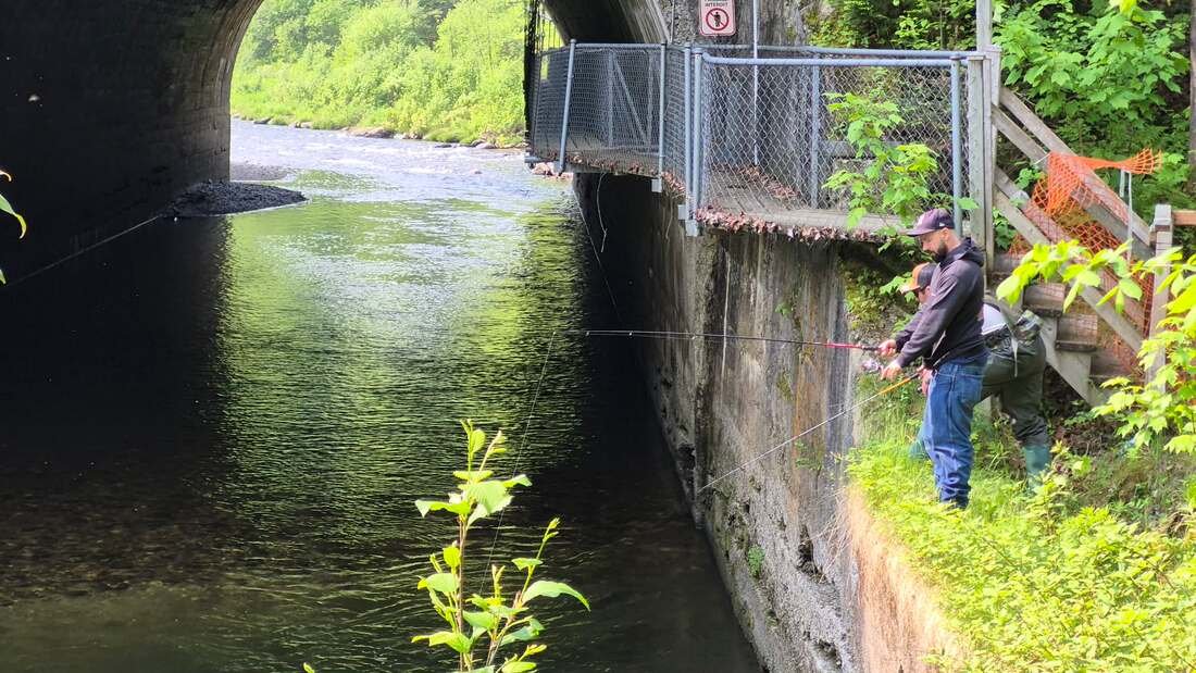 Activités à Armagh